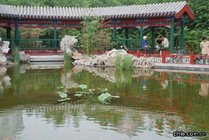 月坛公园景点天气实景图