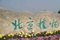 北京植物园景点图片