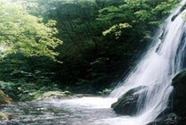 沟崖自然风景区景点图片