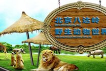 八达岭野生动物世界景点图片