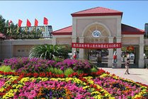 青龙湖公园景点图片