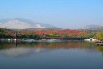 北宫森林公园景点图片