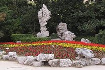 和平公园景点天气实景图