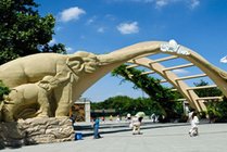 上海动物园景点天气实景图