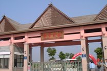上海都市菜园景点图片