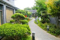 高家庄生态园景点图片