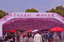 上海南汇桃花村景点天气实景图