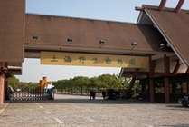 上海野生动物园景点图片