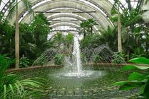 天津热带植物观光园景点图片