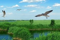 七里海景区景点图片