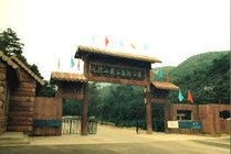 九龙山国家森林公园景点图片