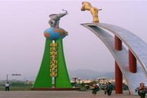 重庆野生动物世界景点图片