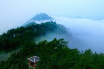 永隆山生态公园景点图片