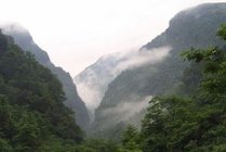 金佛山风景区景点天气实景图