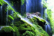 重庆金刀峡风景区景点图片