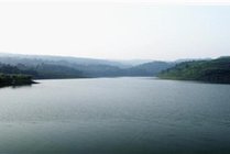圣灯山原始森林公园景点图片