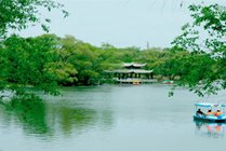 龙沙公园景点图片