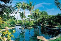 连环湖景点图片