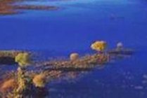 雁鸣湖旅游度假区景点图片