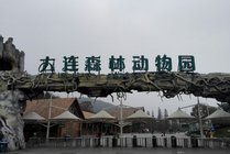 大连森林动物园景点图片