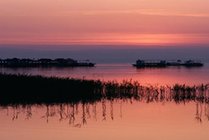岱海旅游中心景点图片