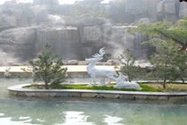 白鹿温泉景点图片