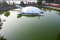东方巨龟苑景点图片