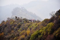 驼梁景区景点图片