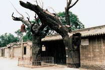 冉庄地道战遗址景点图片