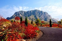 张家口鸡鸣山风景区景点图片