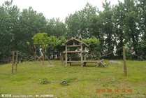 野生动物园景点图片