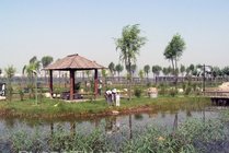 汾河湿地公园景点图片