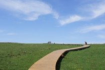 芦芽山风景区景点图片
