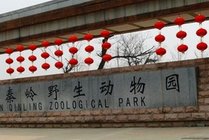 西安秦岭野生动物园景点图片