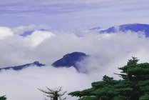 牛背梁国家森林公园景点图片