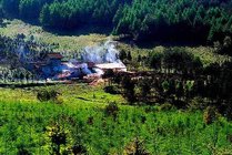 千家坪森林公园景点图片
