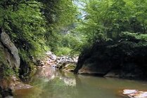龙门洞森林公园景点图片