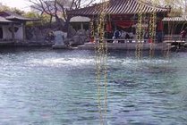 趵突泉公园景点图片