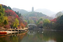 红叶谷景点天气实景图