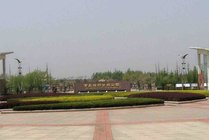 青岛城阳世纪公园景点图片