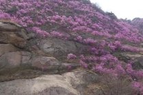 大珠山风景区景点图片