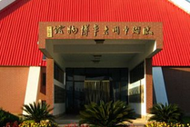 临淄中国古车博物馆景点图片