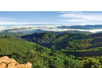 鲁山国家森林公园景点天气实景图