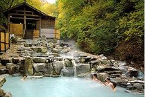 大雁岛绿色生态园景点图片