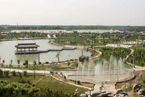 夏津县黄河故道森林公园景点图片