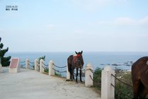 养马岛旅游度假区景点图片