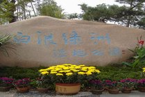 白浪绿洲湿地公园景点图片