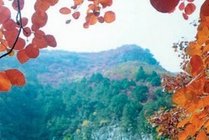青州仰天山国家森林公园景点图片