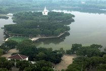 寿光林海生态博览园景点图片