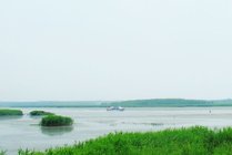 东平湖湿地公园景点图片